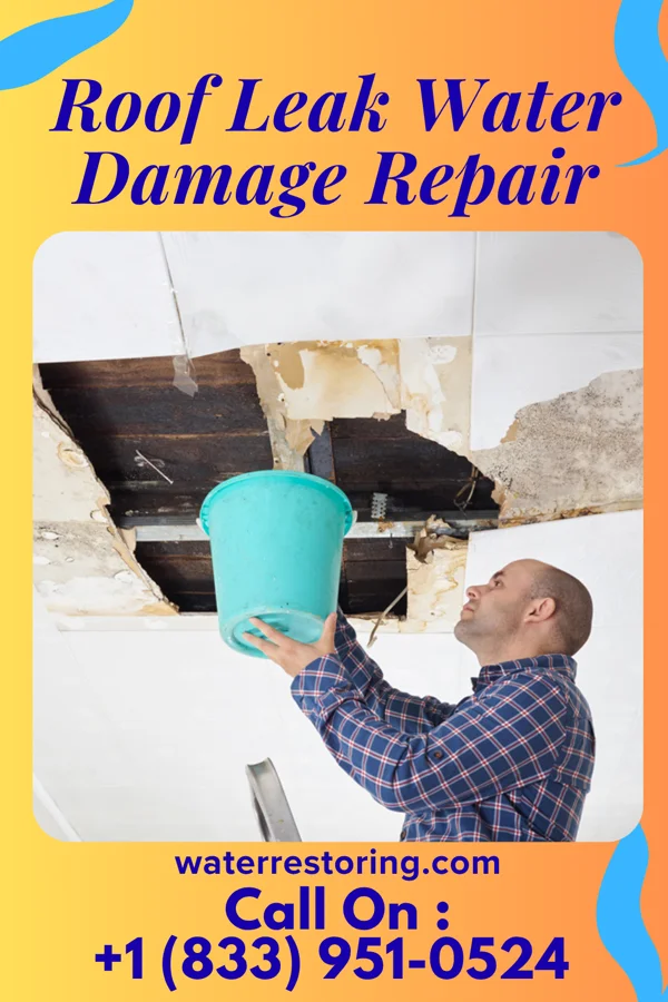 Roof Leak Water Damage Repair in Plover, WI