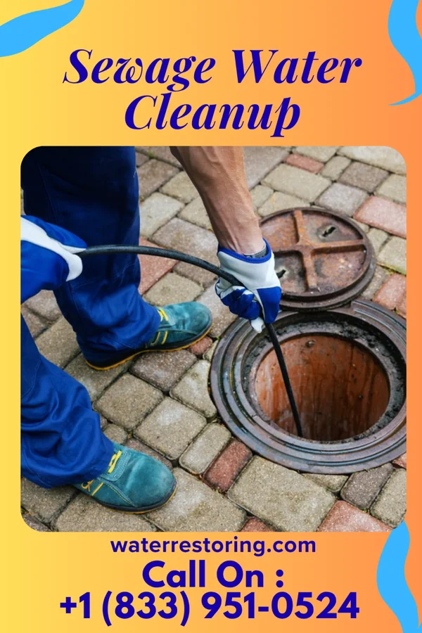 Sewage Water Cleanup in Plover, WI